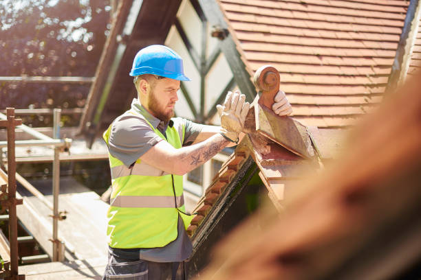 Best Roof Gutter Cleaning  in Madison, WI